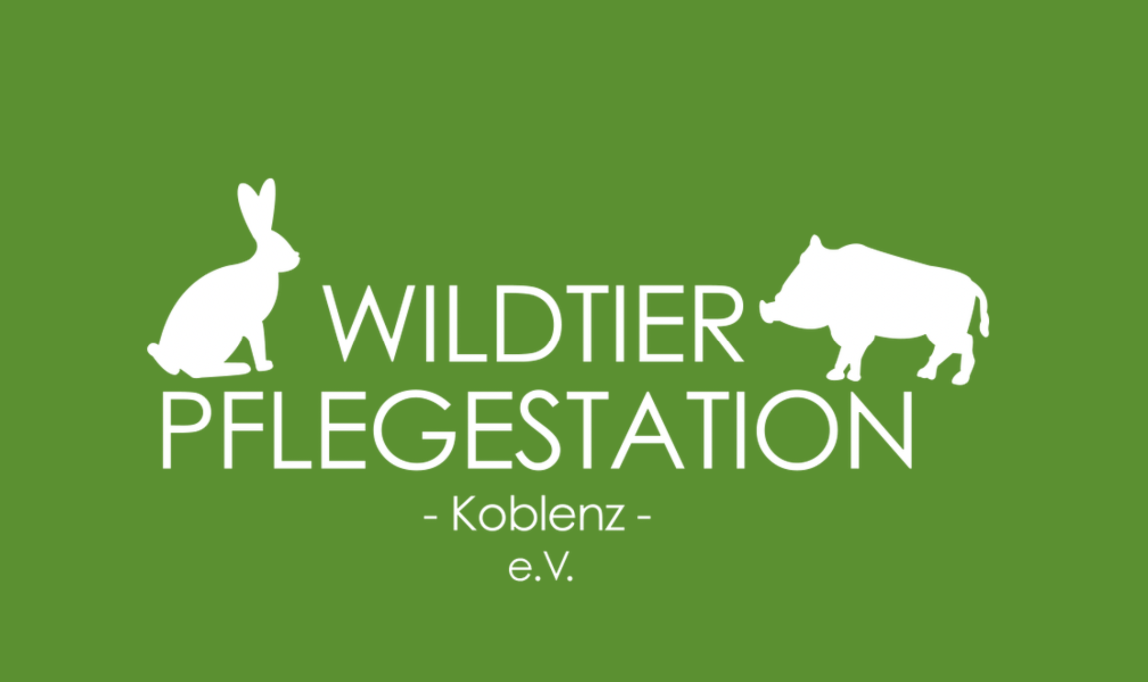 2 Tiere auf dem neuen Recyclingsand zur Befestigung der Paddocks und Außenbereiche der auf dem Hof lebenden Tiere